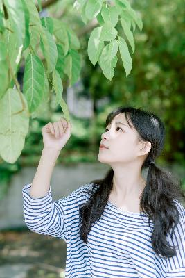 芳草地电影免费观看